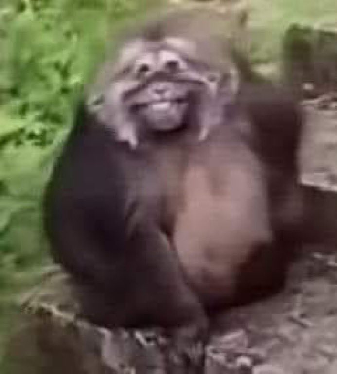 oxevictorlima's tweet image. louco pra terminar o treino e comer o sanduíche que tá na minha mochila