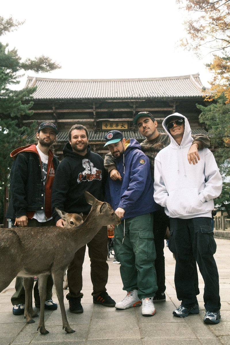 Andrew Vacante tweet media