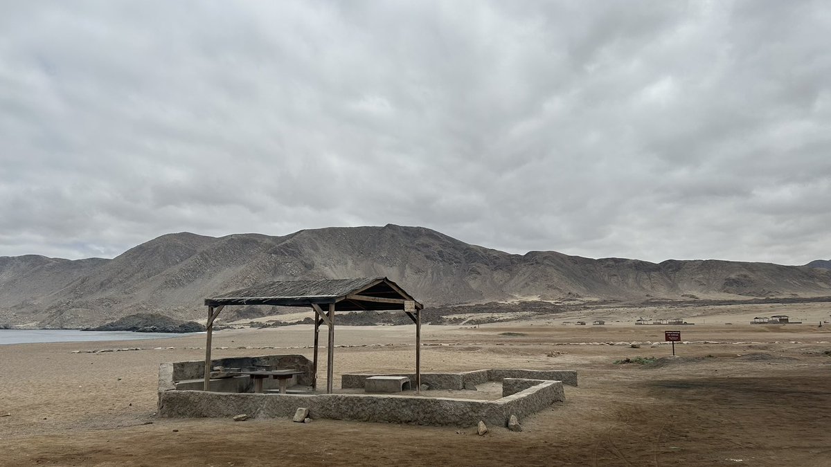 subtel_chile's tweet image. ¡Más conectividad para la seguridad del país! 📡 Chile es el primer país de Latinoamérica en habilitar la conexión directa entre satélites y celulares, gracias a una alianza de @entel y @Starlink. 

🛜 Un SMS, en zonas remotas y sin señal, puede salvar vidas.