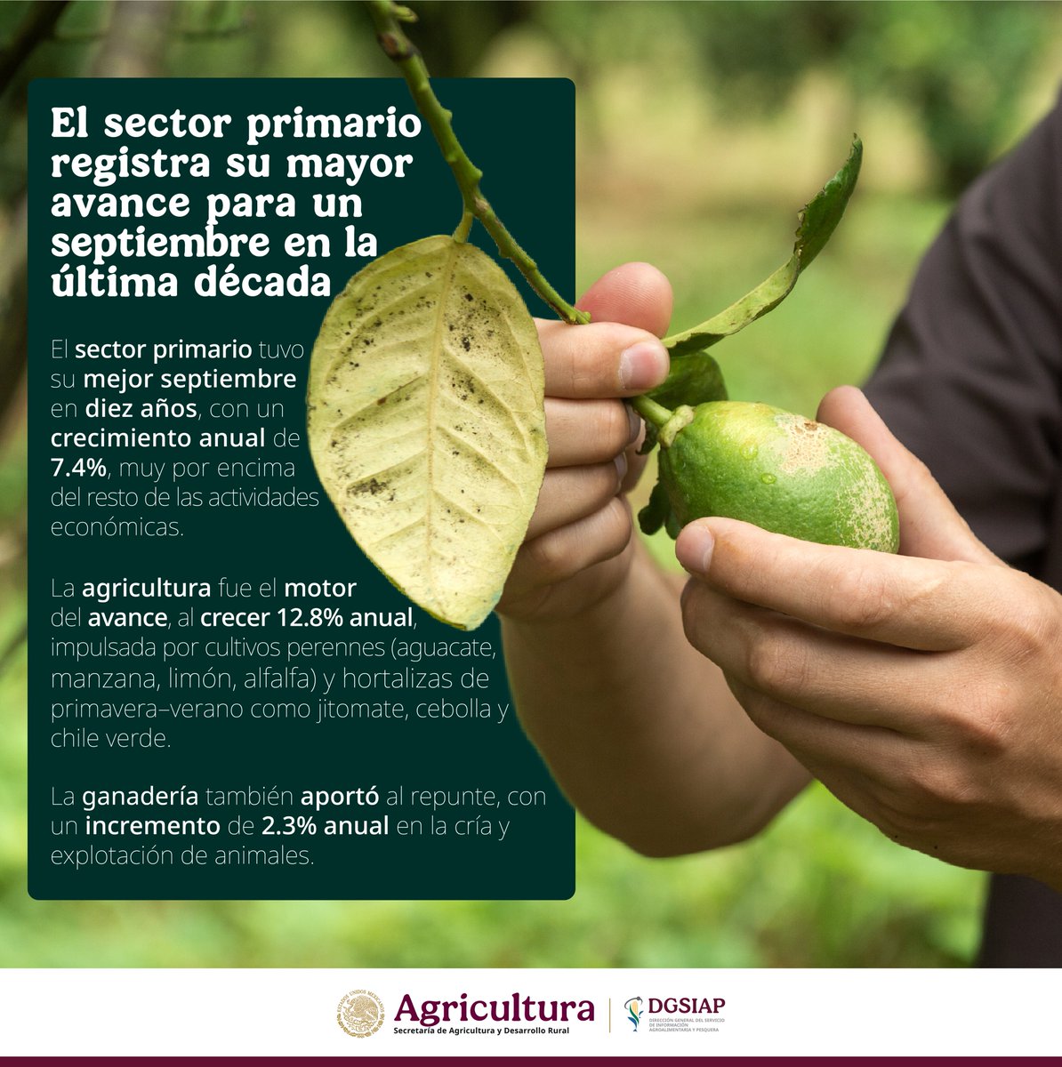 En septiembre de 2025 con datos del IGAE de <a href="/INEGI_INFORMA/">INEGI INFORMA</a>, las actividades primarias registraron su mayor crecimiento anual para un mes de septiembre en la última década, impulsadas por cultivos perennes y hortalizas en un contexto de mejores condiciones hídricas.
Boletín