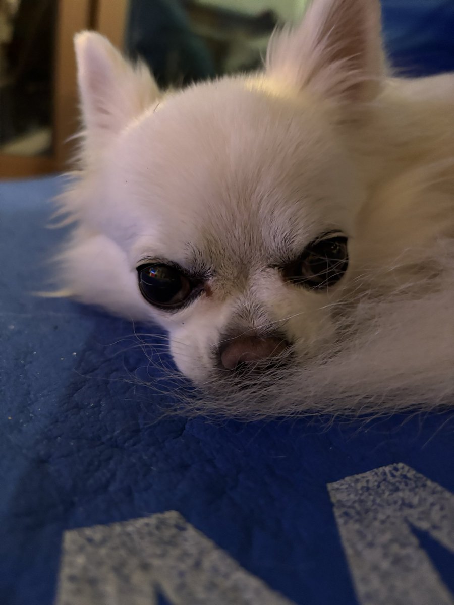 うるる (@ururu0518ururu) / Posts / X