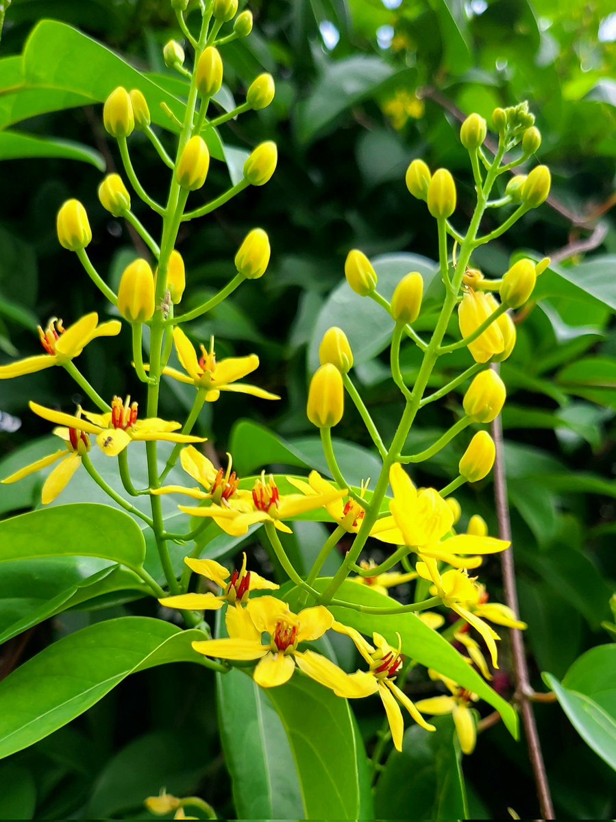 kamomiru500's tweet image. おはようございます♬

*･ﾟ✽日めくりカレンダーから✽.｡.:*
人を強くするのは
失敗と挫折のみ　
乗り越えたとき
人に深みがでる

今週もよろしくお願いしますꕤ…˖*

今日も安全に気をつけて、
行ってらっしゃい(*ˊᵕˋ*)੭ 🍀