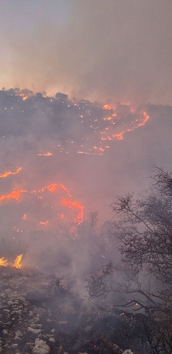 abdolah_abdi's tweet image. 🔴 آتش سوزی گسترده جنگل‌های بلوط ؛ ارتفاعات شره‌زول در ایوان‌غرب