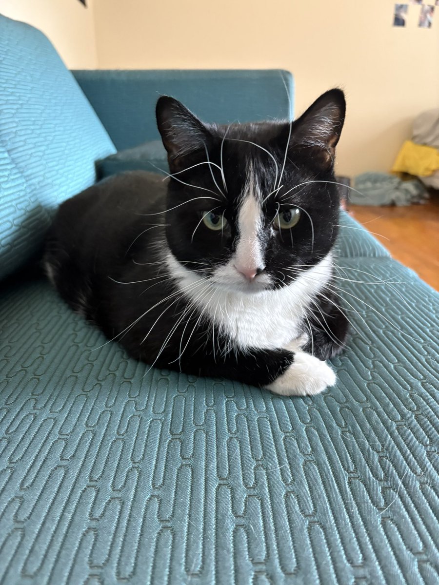 hii! we now @ 104, tysm! unforch, there’s only 1 seat left on the train they knead now and it is 218. so 104/218, if eleven ppl match 10 bux, this can be cleared by today. +, i jus want to remind that train is most accessible for them. 

🪂c: kjaeswrld 
🎭: findmeonneptune