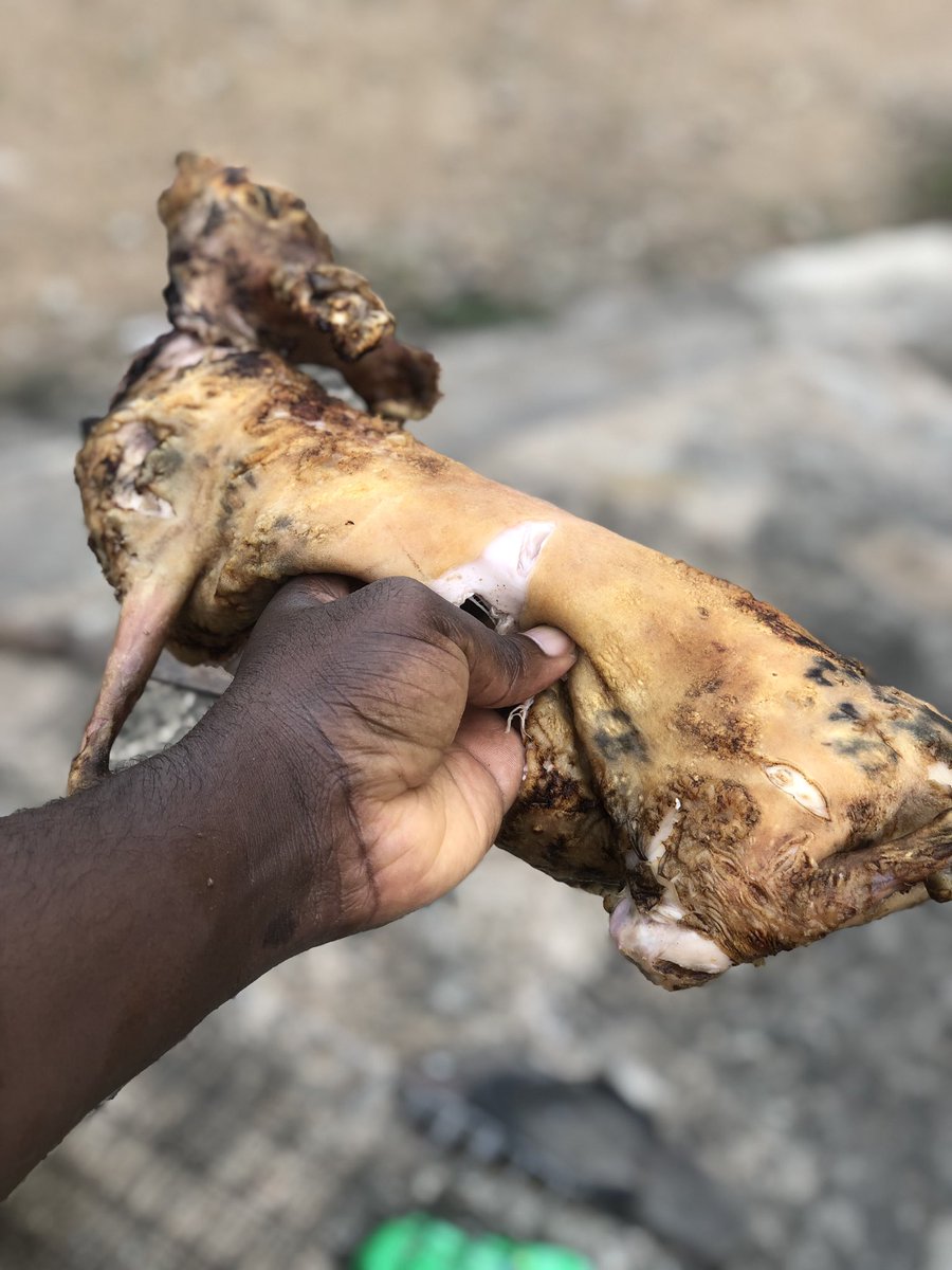 agro_tribe's tweet photo. Game 
We had a quick order! 🔥
#rabbitmeat https://t.co/Ac6Cxk71cq
