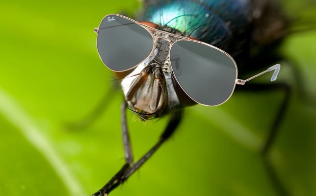 googoo_7_'s tweet image. ΌΠΟΙΟΣ ΆΧΡΗΣΤΟΣ ΗΛΊΘΙΟΣ ,
ΈΧΕΙ ΤΗ ΜΎΓΑ .....
ΤΙ ΚΆΝΕΙ ?

#SurvivorGR