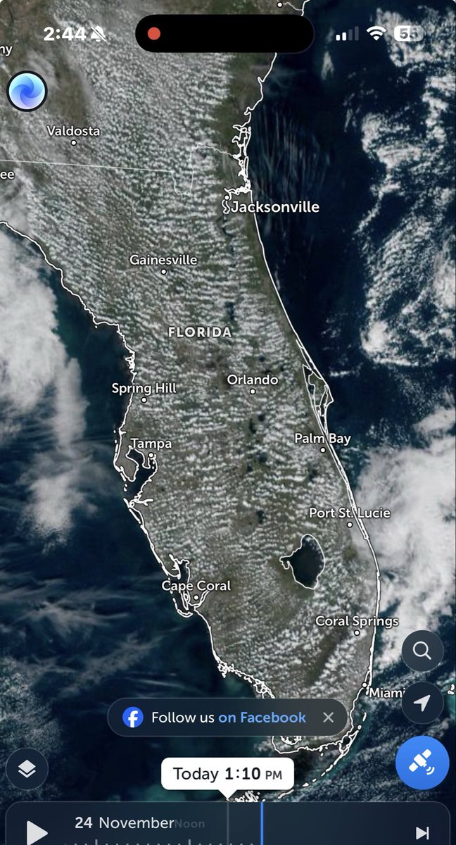 LaShonLuv1's tweet image. Florida is cooked 😫⚡️