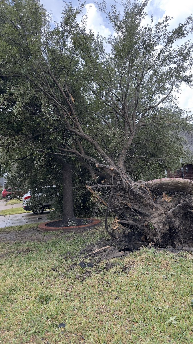 Owen Gray tweet media