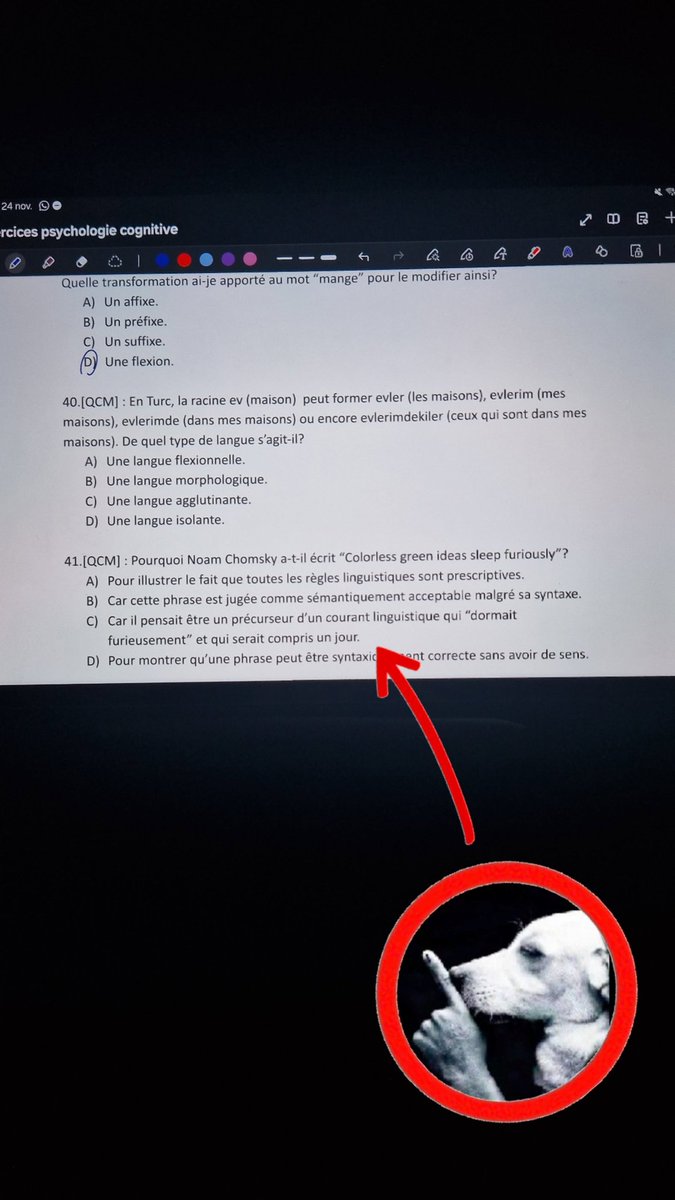 wispoflore's tweet image. Ils savent plus quoi inventer pour mon cours de psycho ça mparle de chomsky, du turc ptt j&apos;vais devenir romain rodev on sait pas