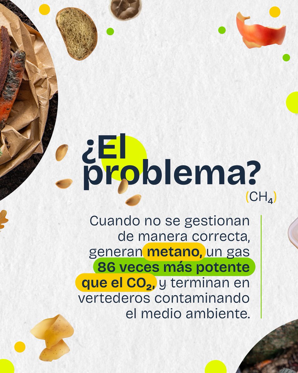 PactoPlasticoCL's tweet image. 🌱 ¡Lanzamos #CompostandoAndo! 🌿
Una campaña de @fundacionchile🇨🇱 PCP ♻️@AIEP 🎓 Red Campus Sustentable 🌱 y Global Methane Hub 🌍 para impulsar la gestión de residuos orgánicos 🍃 a través de educación 📚 y movilización ciudadana 🙌