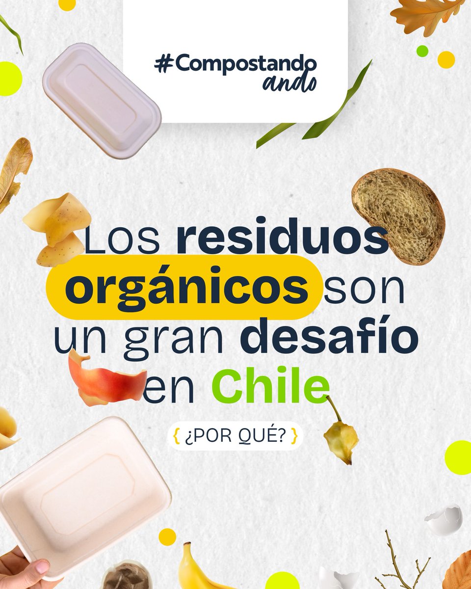 PactoPlasticoCL's tweet image. 🌱 ¡Lanzamos #CompostandoAndo! 🌿
Una campaña de @fundacionchile🇨🇱 PCP ♻️@AIEP 🎓 Red Campus Sustentable 🌱 y Global Methane Hub 🌍 para impulsar la gestión de residuos orgánicos 🍃 a través de educación 📚 y movilización ciudadana 🙌