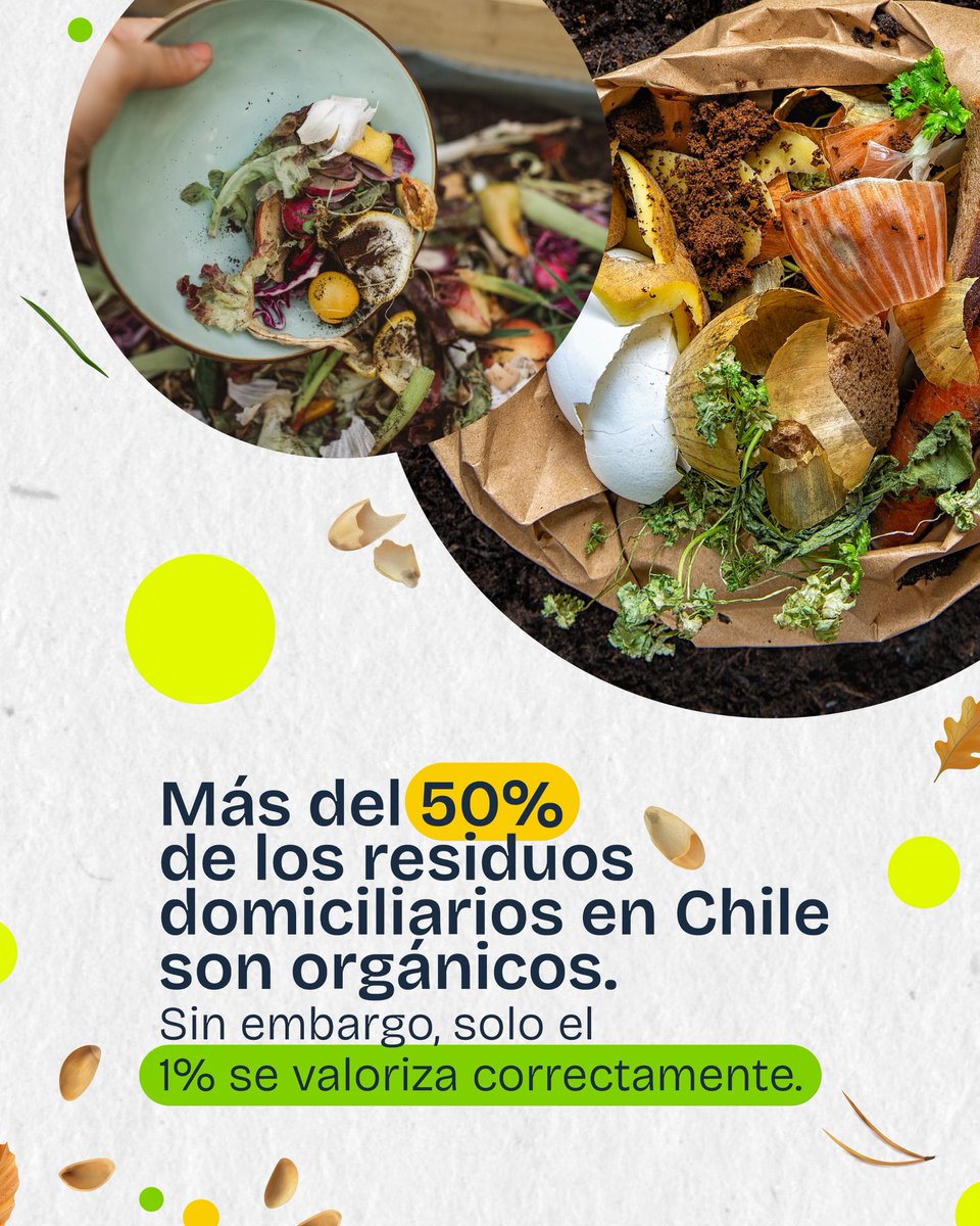 PactoPlasticoCL's tweet image. 🌱 ¡Lanzamos #CompostandoAndo! 🌿
Una campaña de @fundacionchile🇨🇱 PCP ♻️@AIEP 🎓 Red Campus Sustentable 🌱 y Global Methane Hub 🌍 para impulsar la gestión de residuos orgánicos 🍃 a través de educación 📚 y movilización ciudadana 🙌