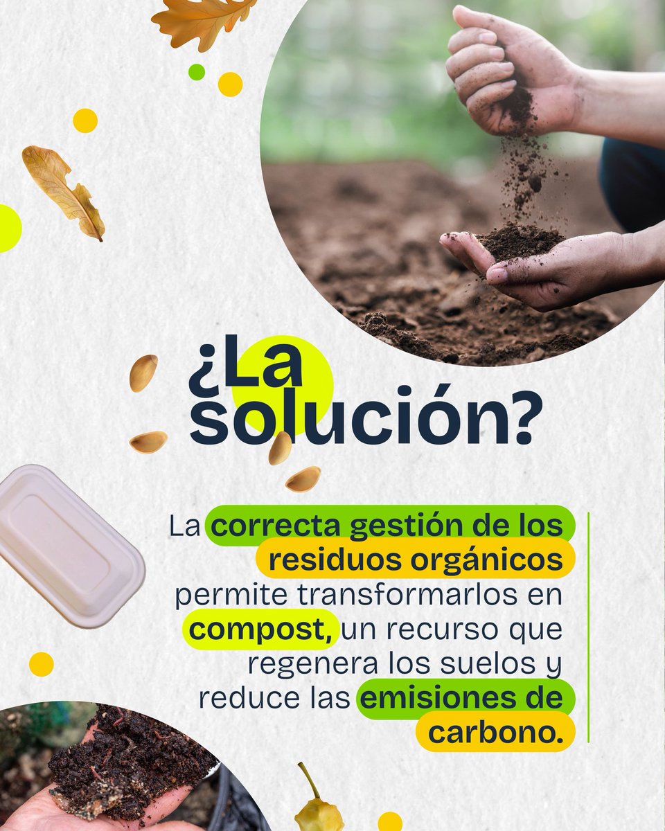 PactoPlasticoCL's tweet image. 🌱 ¡Lanzamos #CompostandoAndo! 🌿
Una campaña de @fundacionchile🇨🇱 PCP ♻️@AIEP 🎓 Red Campus Sustentable 🌱 y Global Methane Hub 🌍 para impulsar la gestión de residuos orgánicos 🍃 a través de educación 📚 y movilización ciudadana 🙌