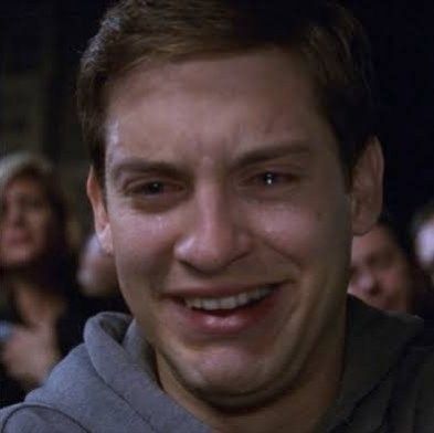 LP_Ani_'s tweet image. I finally saw                   but i don&apos;t know 
Linkin Park live             when i will see
this year                         them again