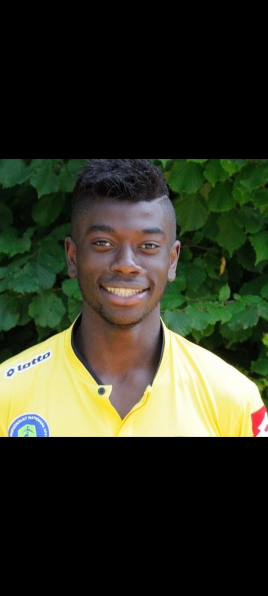 Donyphan tweet media