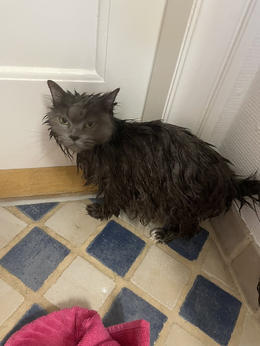 Bertram Munkstrup tweet media