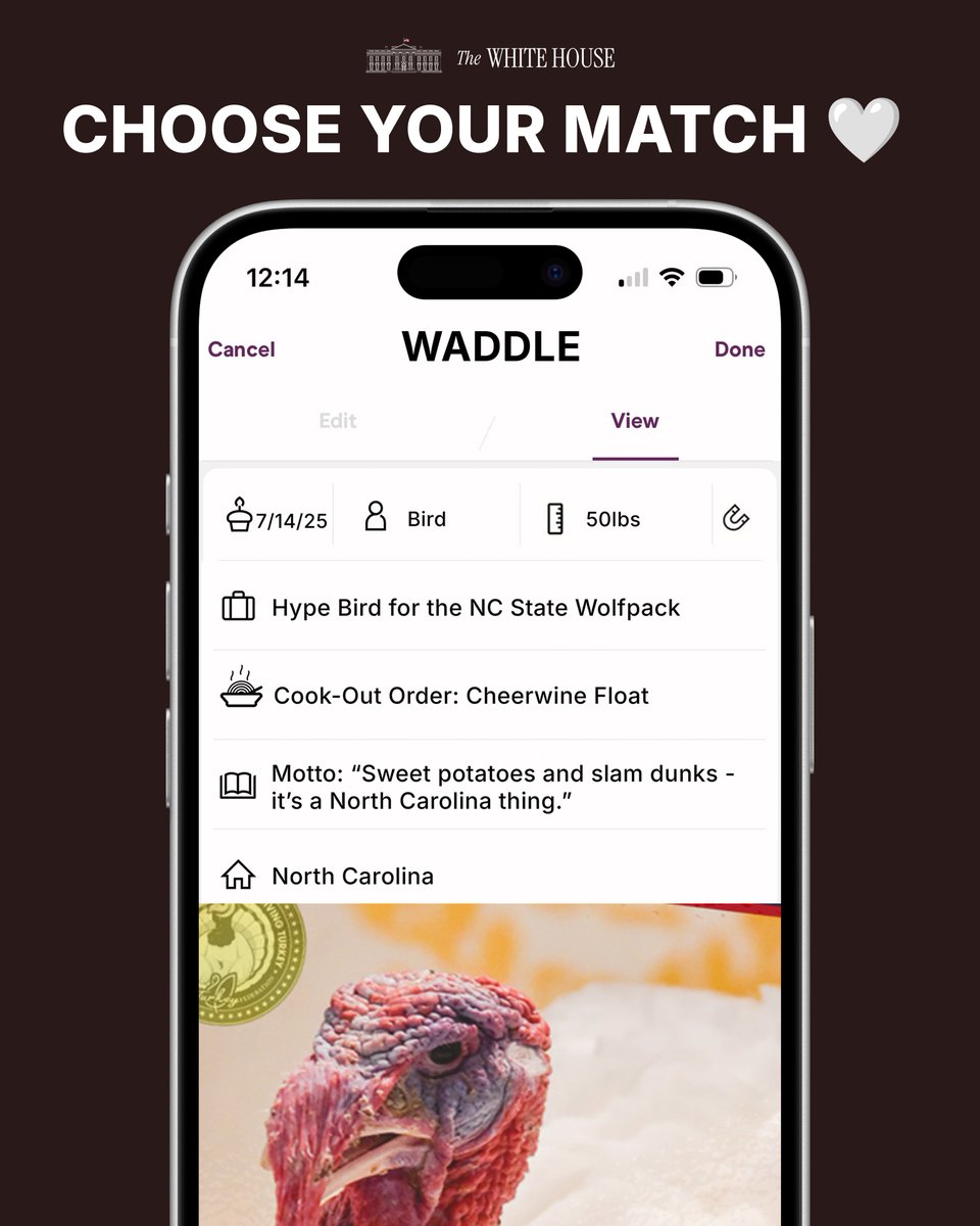 The White House tweet media