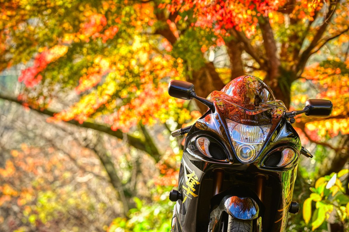 nob_neko_rider's tweet photo. 🍁おはようございます🏍💨

多くの方が3連休明けですね！
今日もマイペースで頑張りましょう🤗 https://t.co/63r6VnwXkT