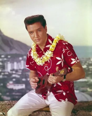 In 1958 legislation was approved that called for the creation of a memorial to the USS Arizona. However, no federal money was allotted for its construction, and instead donations were solicited; in 1961 Elvis Presley notably staged a benefit concert at Pearl Harbor. Construction
