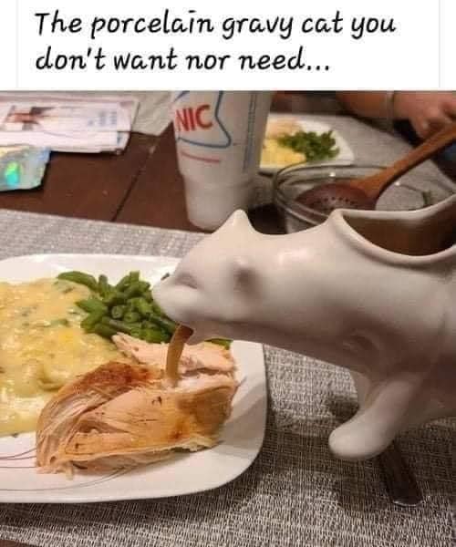 The perfect Thanksgiving gravy boat? 
🤦‍♀️😂😂😂😂😂