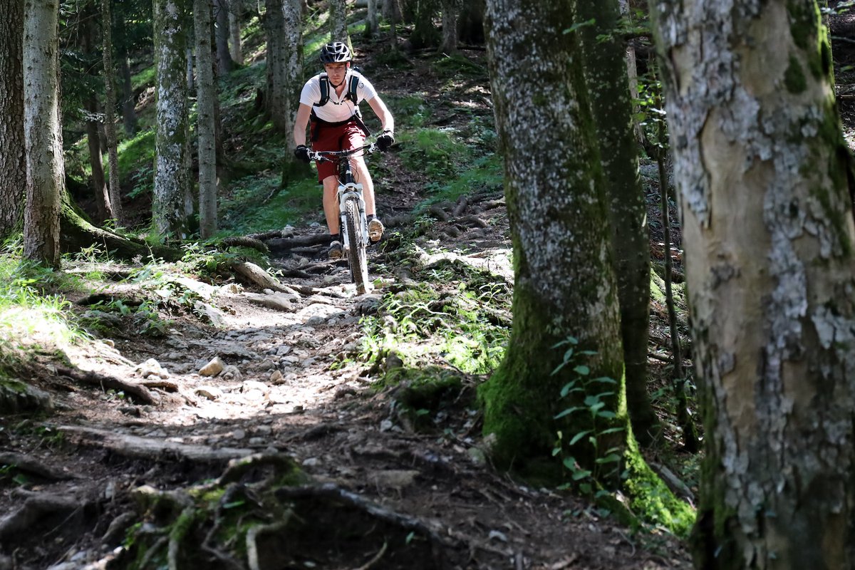 mtbskillscoach's tweet image. Can’t swing a full weekend with your bike? We’ve got you covered! Our 1-day Intermediate Napa MTB Clinic squeezes the best of the 2-day into one epic day on the trails.

📌 Dec 7, 2025

👉 Napa MTB Clinic with Bay Area MTB Coach asingletrackmind.com/event/intermed…