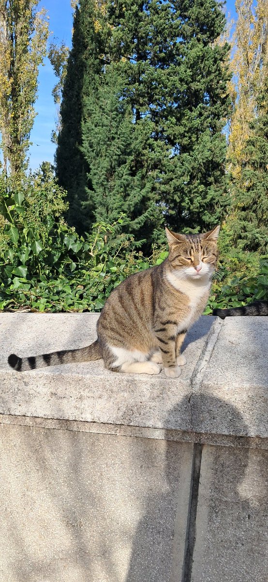 Tinky Winky (@nur_cukkk) on Twitter photo 