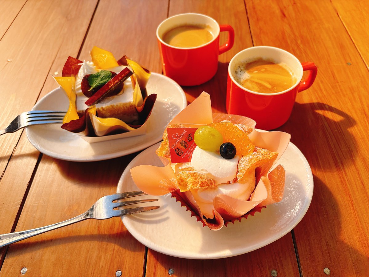 🍰☕𓈒𓏸︎︎︎︎
最近は縁側でお茶するのが
とっても心地よい🔆｡°

ケーキありがとう*ˊᵕˋ*
#1122の日 #感謝

皆さま素敵な1日になりますように🍁