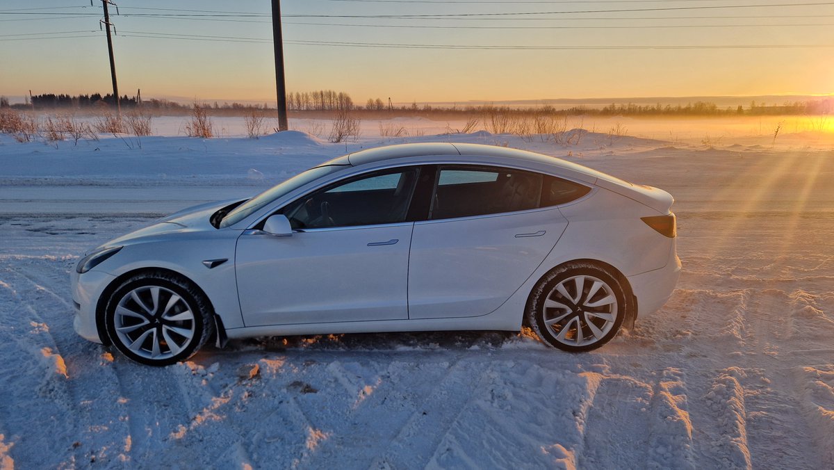 skimmoest tweet media