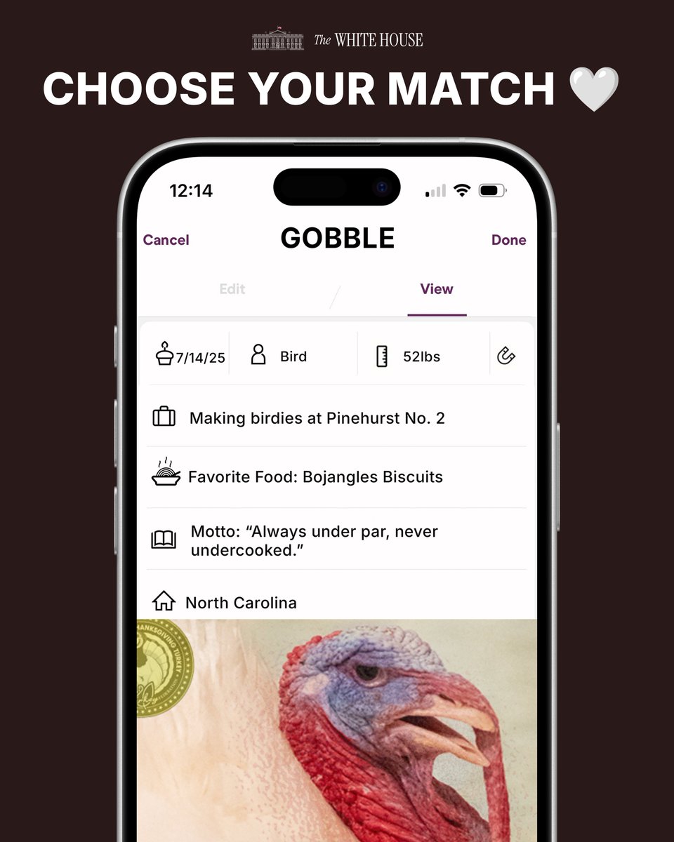 The White House tweet media