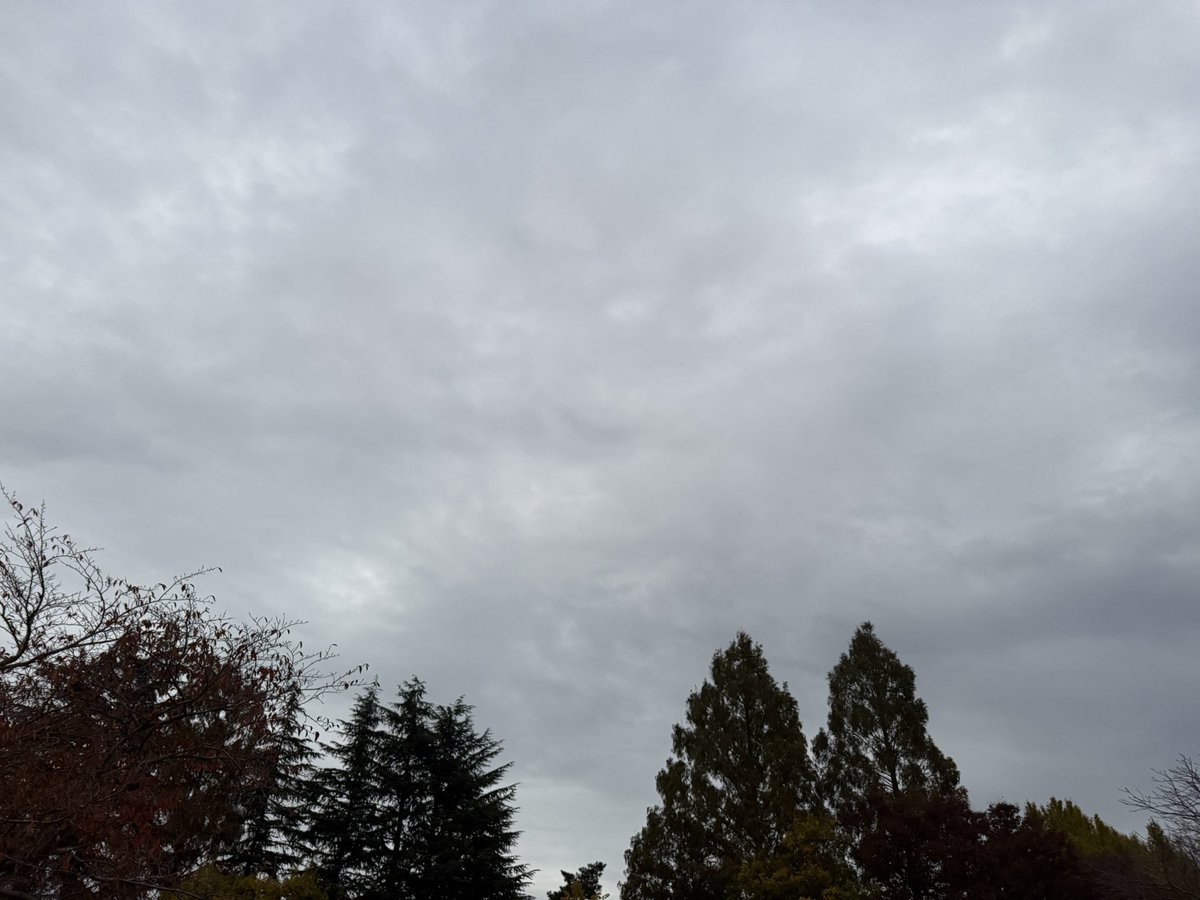 MSP_PiPi_san's tweet image. おはようございます☁️
#イマソラ #ランニング #朝ラン #マラソン