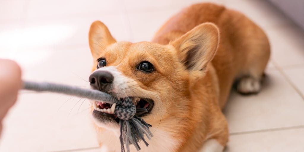 SchoolDayInc's tweet image. “Breaking up” with edtech is harder than buying in. Many vendors drag their feet on deleting student data after contracts end. A secure data exchange like SchoolDay offers control, visibility, &amp;amp; peace of mind.

edsurge.com/news/2025-11-0…

 #EdTech #DataPrivacy #K12