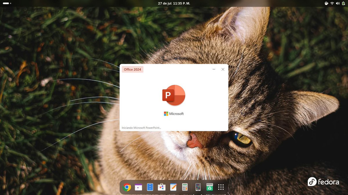 andrew_murdock's tweet image. Fedora D10S