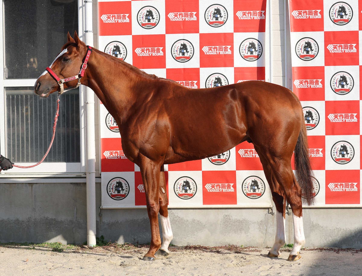 Nah Bro might be locked in again.