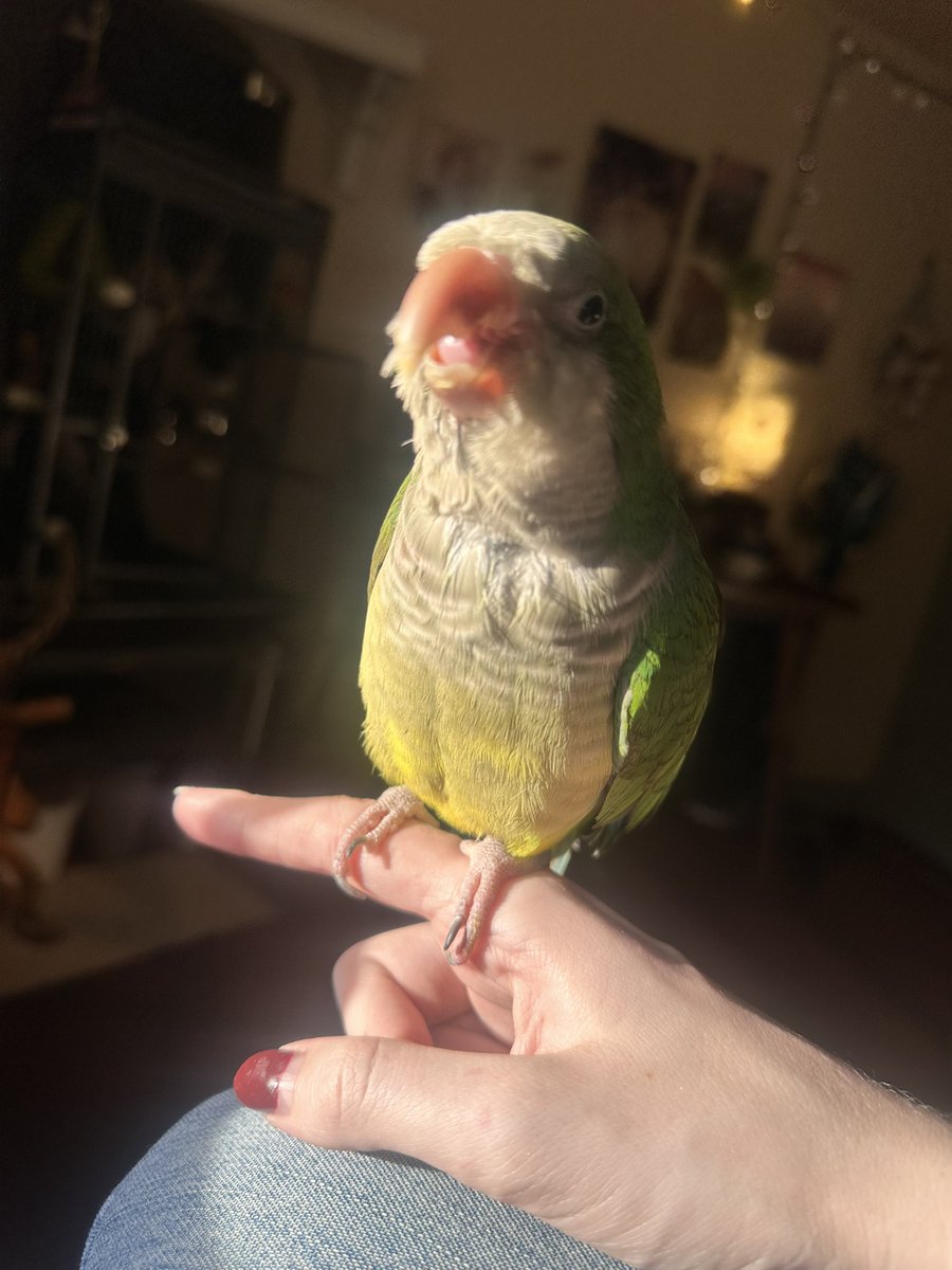 goodwraith's tweet image. babies