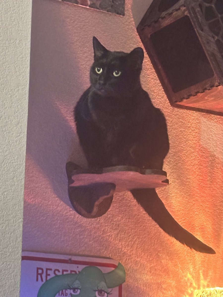 goodwraith's tweet image. babies