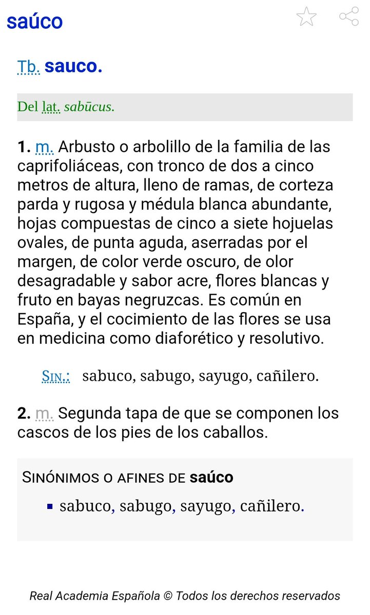 ApreciacionEsp's tweet image. Esta semana la vamos a dedicar a un tipo especial de palabra, aquellas que se pueden acentuar de más de una forma.

Saúco/Sauco