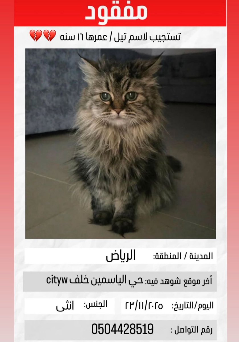 #مفقود_في_الرياض