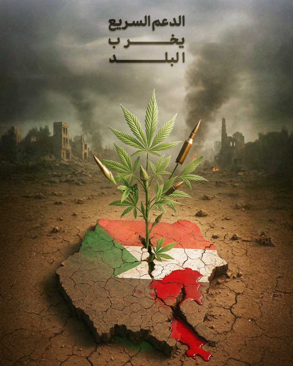 الدعم السريع يخرب البلد

استمرار الحرب سيعني اتساع ظاهرة زراعة وتجارة المخدرات وتحول البنقو إلى عماد أساسي لاقتصاد الحرب الذي يستنزف السودان اليوم.

#زراعة_وتجارة_المخدرات
#السودان