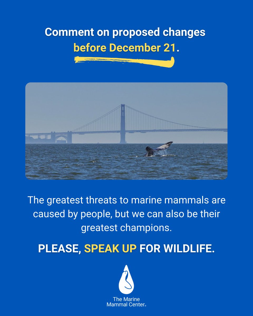 📣 Take action to save the #EndangeredSpeciesAct! Four newly proposed rules would seriously weaken the protections that this groundbreaking law provides. Learn more &amp; voice your opposition before Dec. 22 👉 bit.ly/4o8E4AJ.