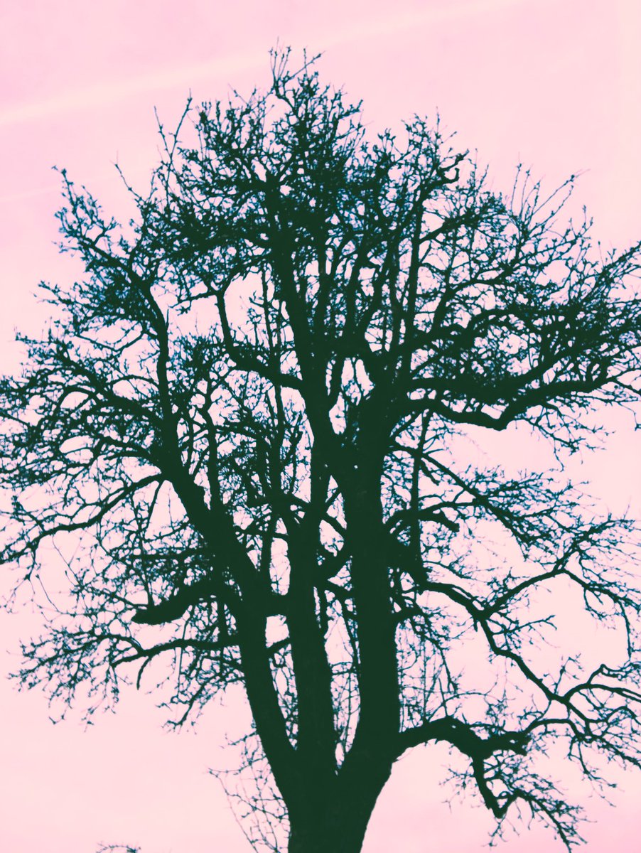 🌱🌗 gn
