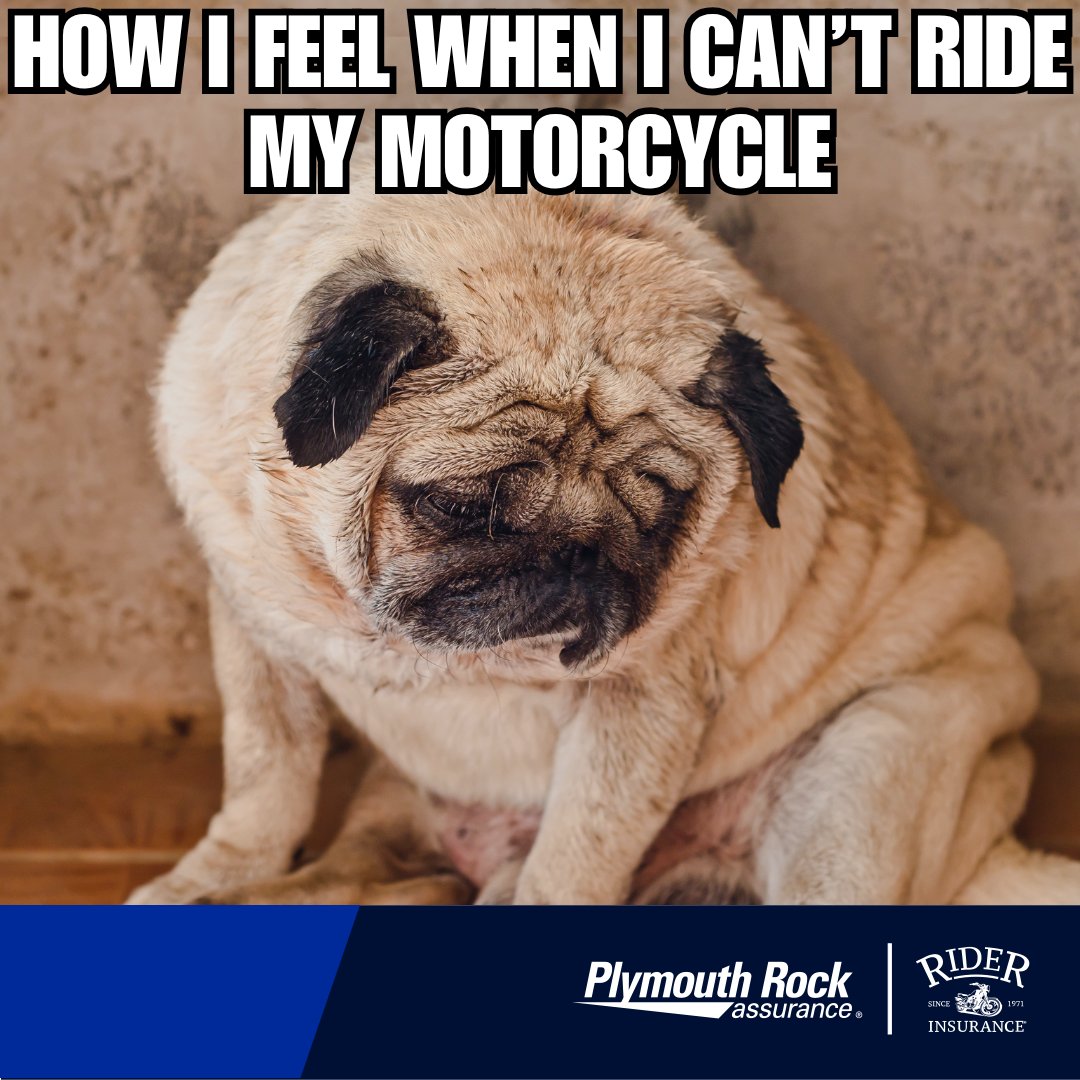 RiderInsurance's tweet image. When the weather keeps me off my bike. 😢 #ridewithrider #bikerlife #motorcyclememe
