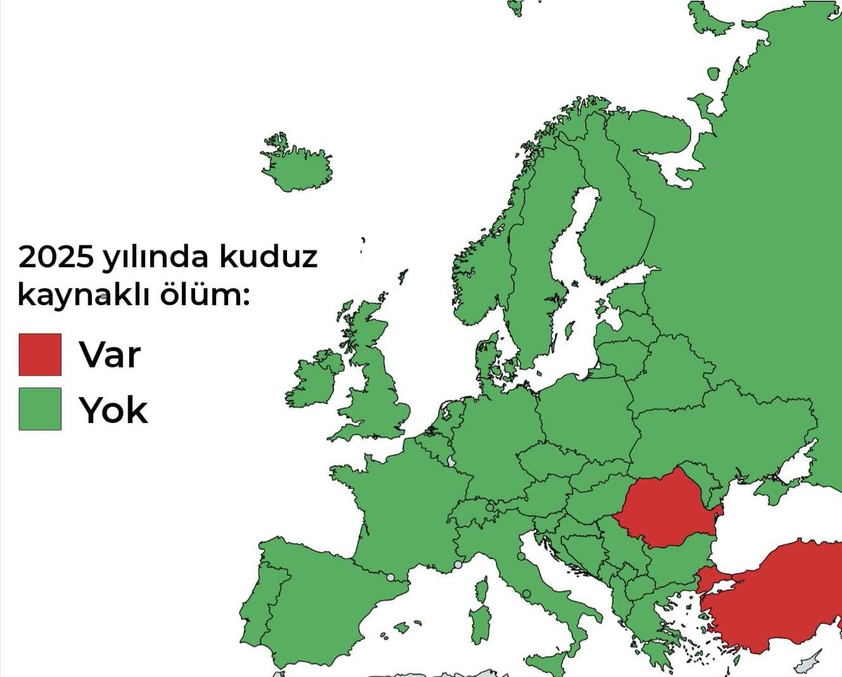 💥 2025 yılında Avrupa'da kuduz sebebiyle ölüm yaşanan ülkeler:

🇹🇷 Türkiye
🇷🇴 Romanya