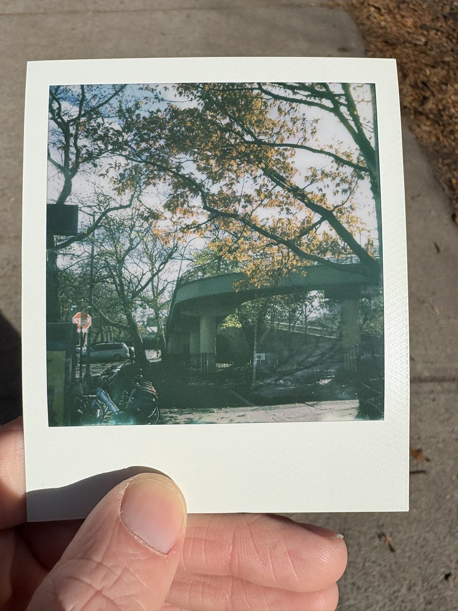 interfaceChiral's tweet image. Polaroid photo