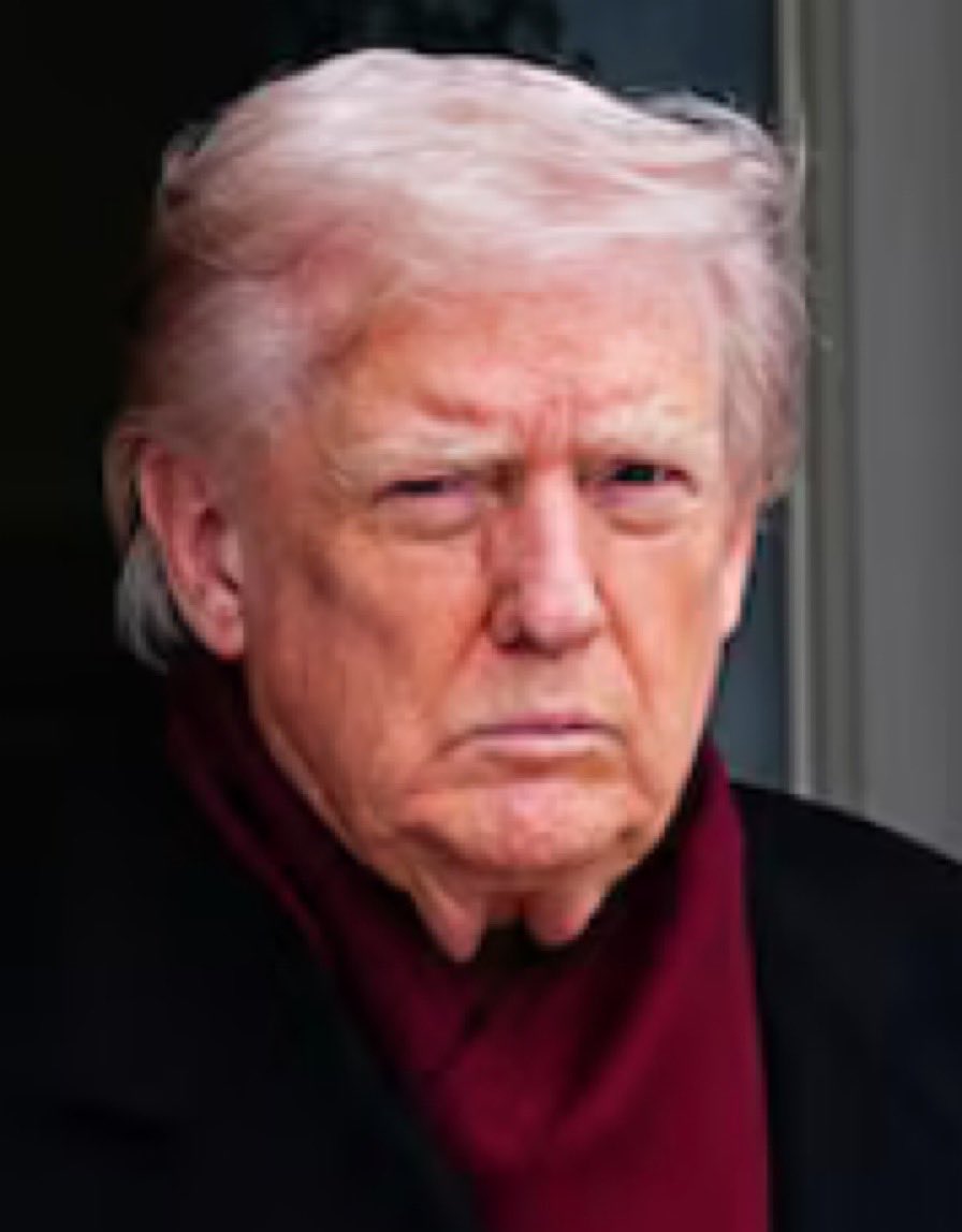 LePapillonBlu2's tweet image. Gobble, Gobble 🦃