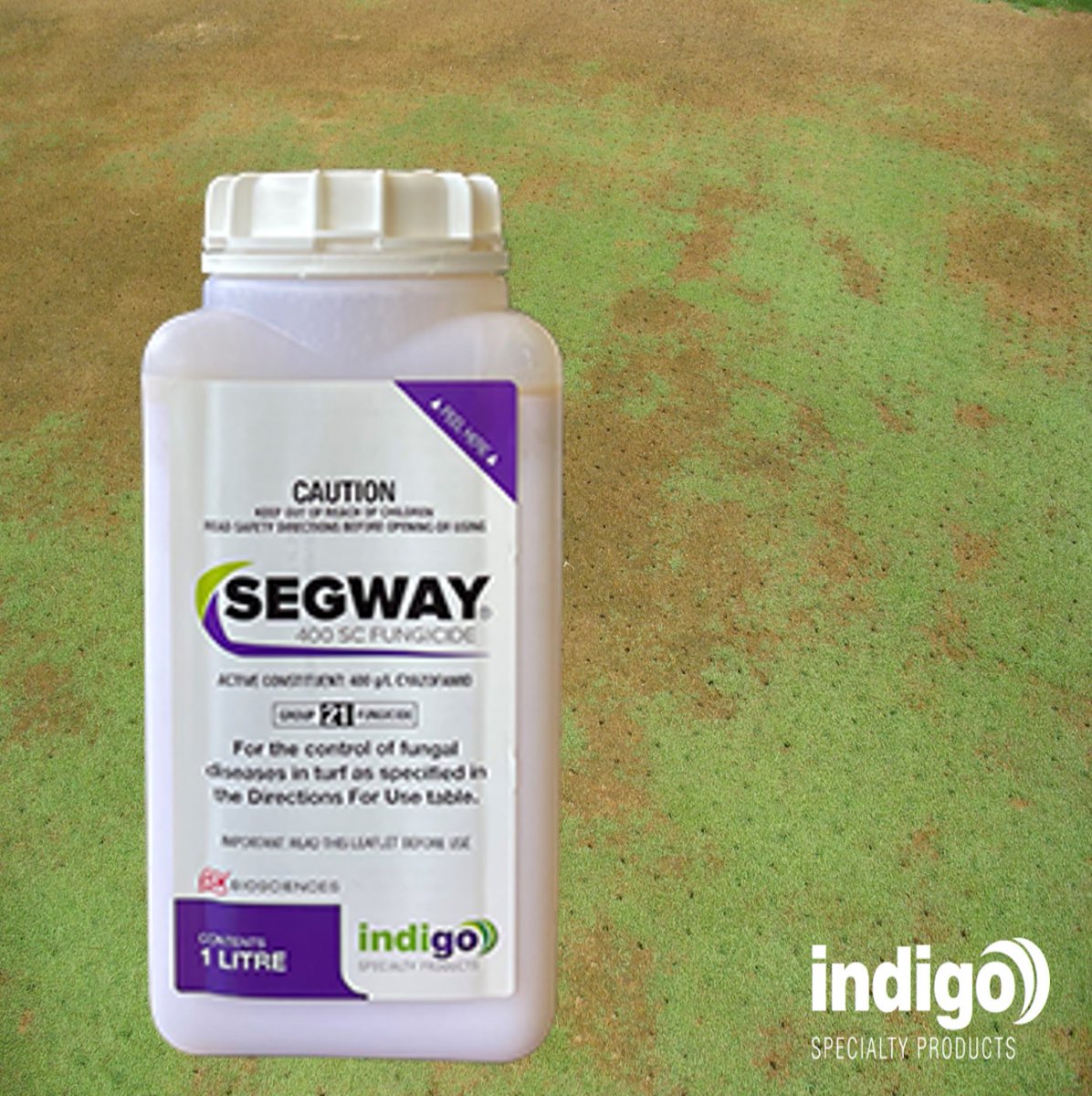 Segway 400 SC #Fungicide offers consistent &amp; rapid control of #Pythium Blight &amp; Pythium Root Dysfunction. The Ai in Segway, Cyazofamid, stops spores from germinating, inhibiting all stages of Pythium #fungal development. Visit our website indigospecialty.com.au