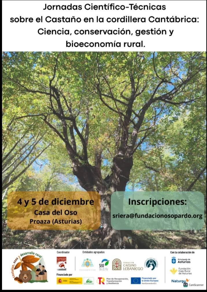 VCastaneaSativa's tweet photo. Los próximos días 3-4 de diciembre del 2025, estaremos en la Casa del Oso en Proaza (Asturias), participando en las Jornadas Científico - Tecnicas sobre el Castaño en la Cordillera Cantábrica: Ciencia, conservación, gestión y bioeconomia rural. Os esperamos https://t.co/s0zS2hztu4