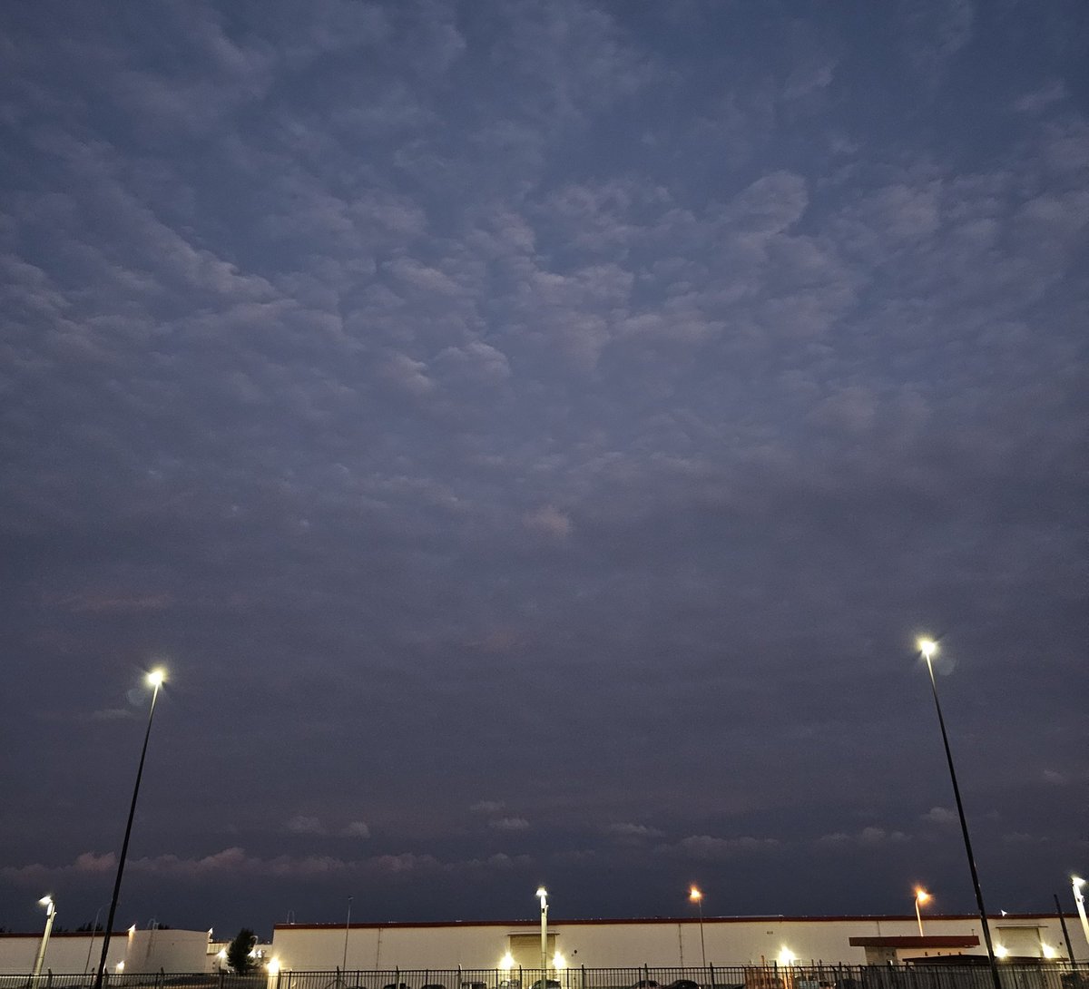 ajirotenjo's tweet image. おはよーございまーす☀️
断水が心配な火曜日です(･д･｡)

#今週もはりきっていきましょー