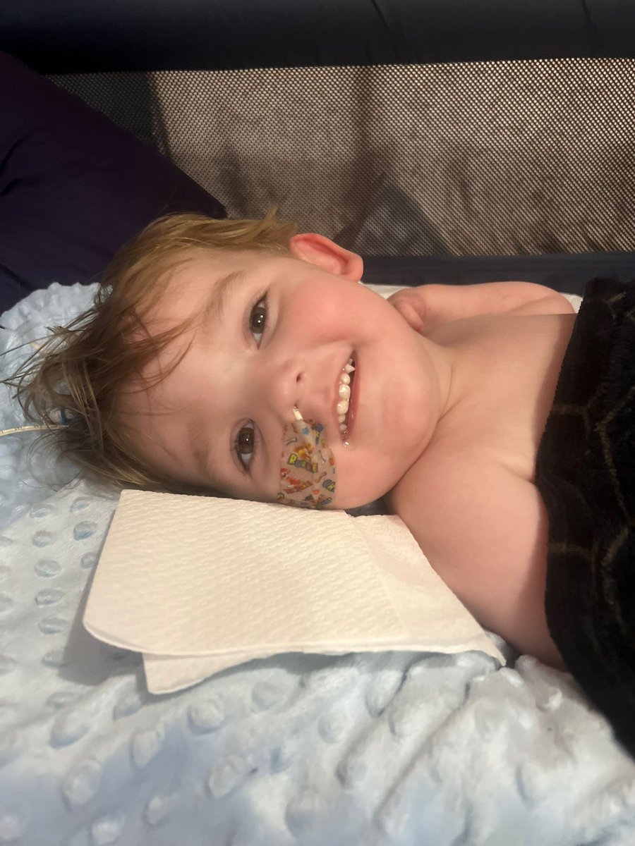 OneRandomDolly tweet media