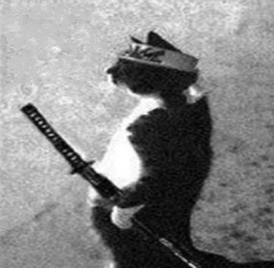 ekojoecovenant's tweet image. Hi everyone,

I recently completed #365DaysOfCode, and looking back at where I was a year ago, I can confidently say I&apos;ve improved greatly.

Now, I&apos;m challenging myself to an even bigger goal. Within this timeframe, I hope to improve more—x3—than before

#500DaysOfCode Challenge!