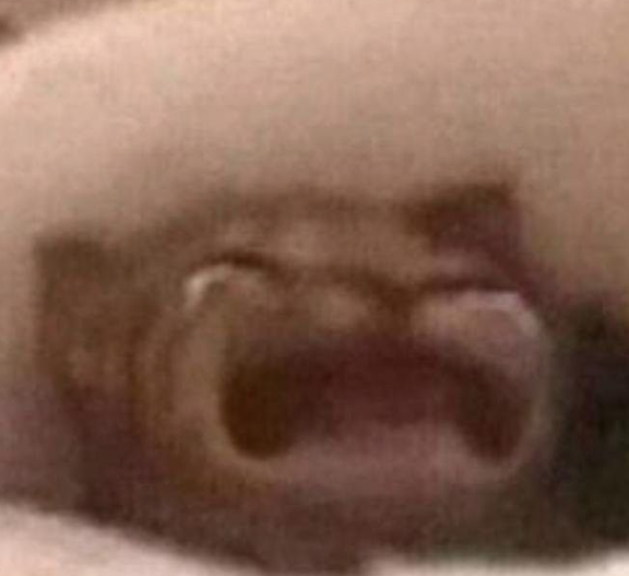 myokovampire's tweet photo. me right now because i js noticed i dont have enough diamonds or a item to get another commission of my new kitsune oc #cryingrn https://t.co/wraqshOTIm